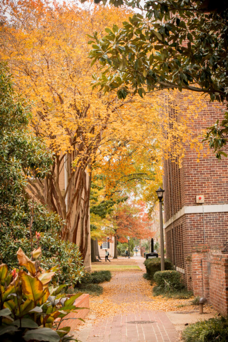 A picturesque pathway lined with trees showcasing autumn foliage in shades of yellow and orange, alongside a brick building. The path is covered with fallen leaves, and a few people are seen walking in the distance.