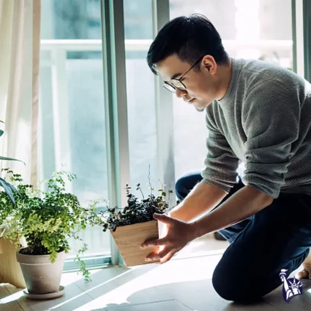 A person is kneeling on the floor near a bright window, gently placing a small potted plant onto the surface, surrounded by other green plants in pots.