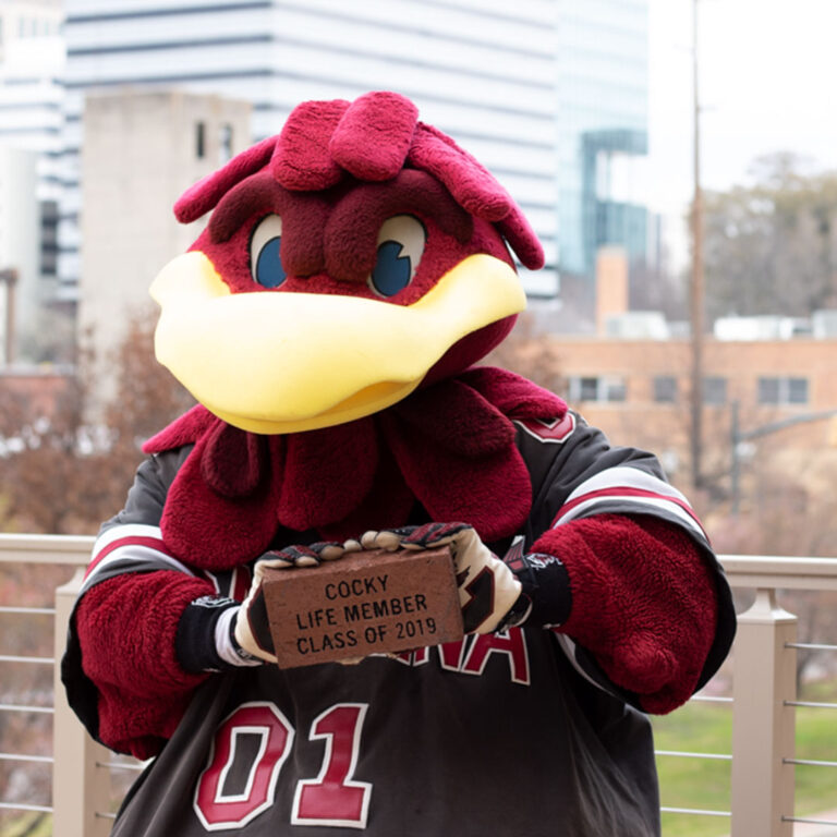 A large, costumed bird mascot in a black jersey with red and white accents holds a brick plaque that reads 'COCKY LIFE MEMBER CLASS OF 2019.' The background features blurred buildings and trees, indicating an outdoor setting.