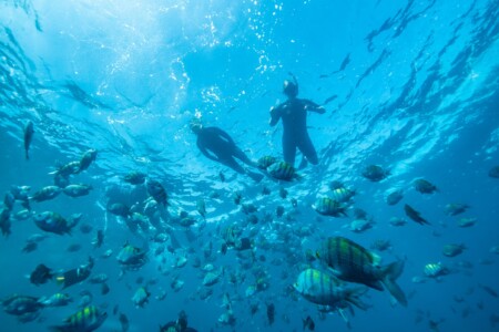 The Galapagos Islands