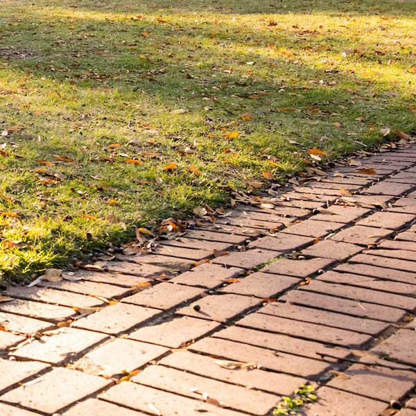 A section of a park featuring a grassy area with scattered autumn leaves and a pathway made of rectangular stone bricks.