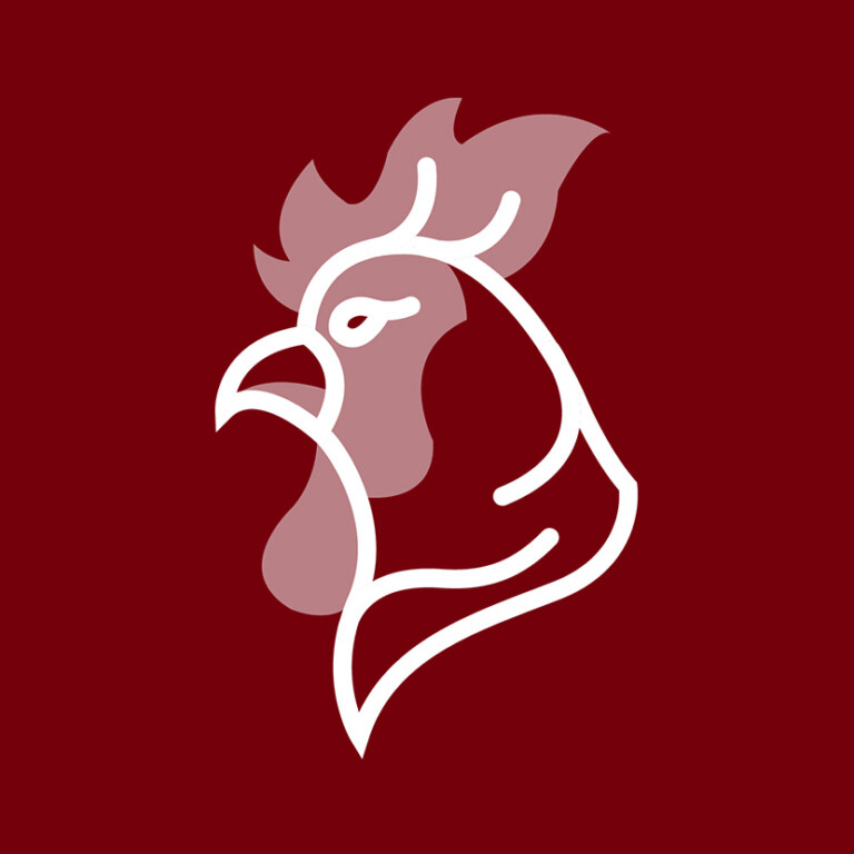 A stylized illustration of a gamecock's head with a prominent comb and beak, outlined in white against a garnet background.