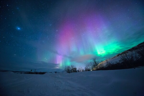 Vibrant auroras in shades of purple and green dance across a starry night sky over a snow-covered landscape.